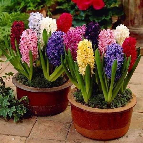 Hoa dạ lan hương và những tác dụng phong thủy