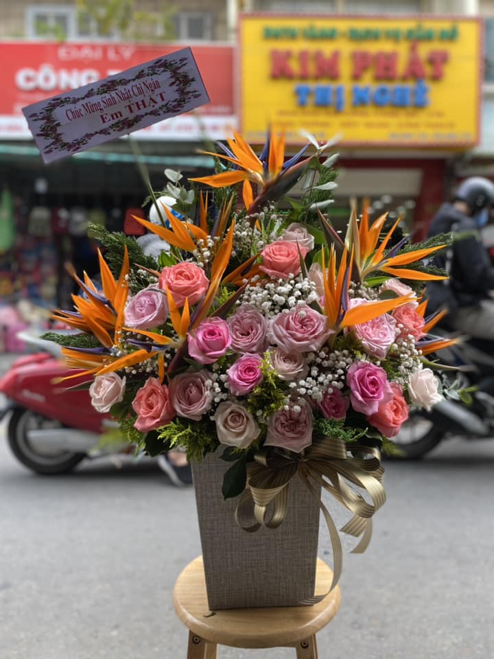 Nhà Nhiều Hoa